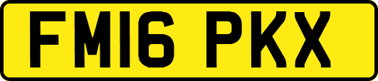 FM16PKX