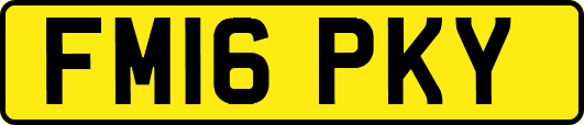 FM16PKY