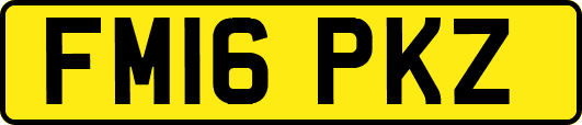 FM16PKZ