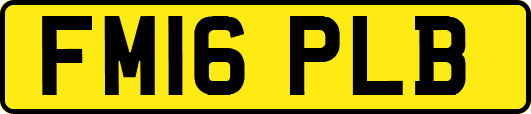 FM16PLB