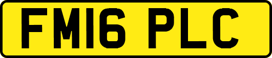 FM16PLC