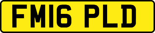 FM16PLD
