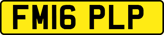 FM16PLP