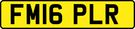 FM16PLR