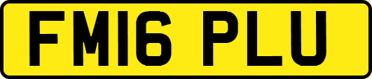 FM16PLU