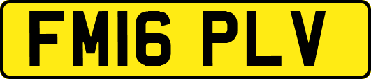 FM16PLV
