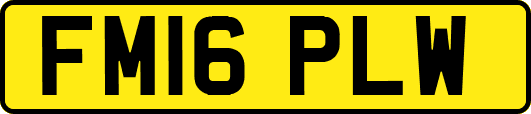 FM16PLW