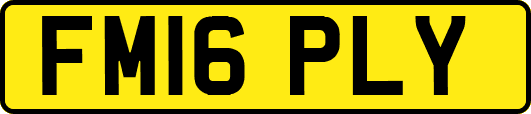 FM16PLY