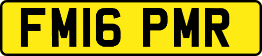FM16PMR