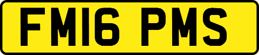FM16PMS