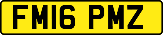 FM16PMZ