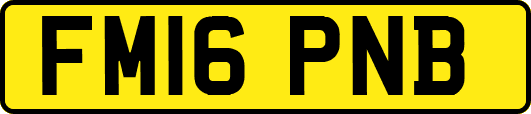 FM16PNB
