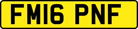 FM16PNF