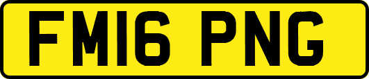 FM16PNG