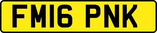 FM16PNK