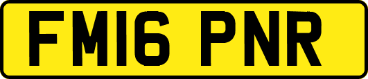 FM16PNR