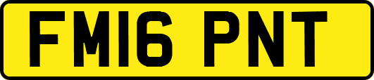 FM16PNT