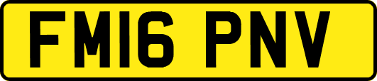 FM16PNV