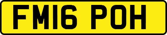 FM16POH