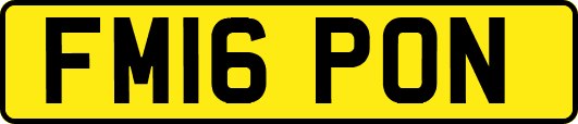 FM16PON