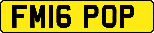 FM16POP