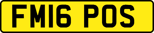 FM16POS