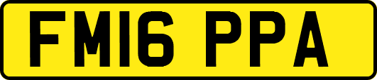 FM16PPA