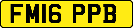 FM16PPB