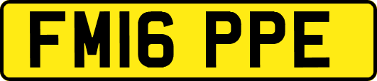 FM16PPE