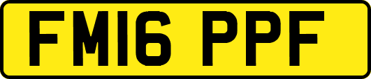 FM16PPF