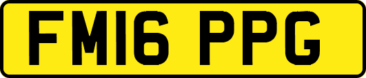FM16PPG