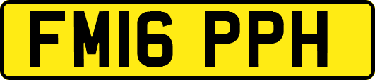 FM16PPH