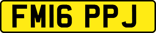 FM16PPJ