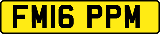 FM16PPM