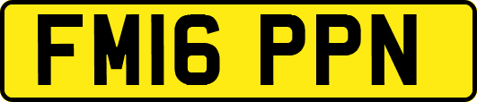 FM16PPN