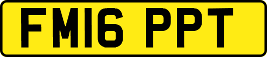 FM16PPT