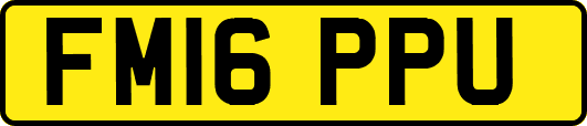 FM16PPU