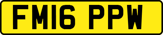 FM16PPW