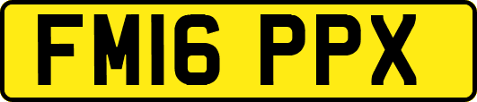 FM16PPX
