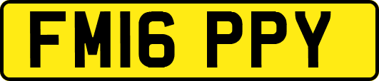 FM16PPY