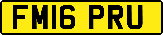 FM16PRU