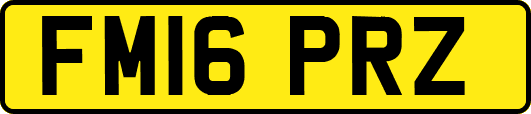 FM16PRZ
