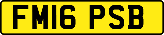FM16PSB