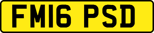 FM16PSD