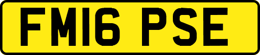 FM16PSE