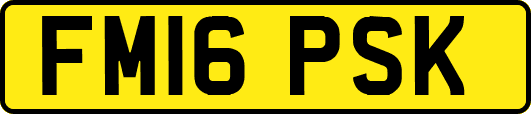 FM16PSK