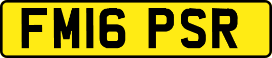 FM16PSR