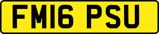 FM16PSU