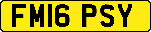 FM16PSY