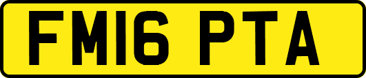 FM16PTA